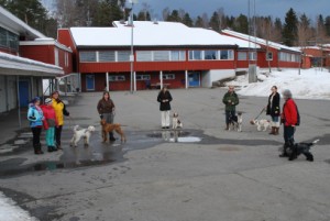 Praca w Norwegii
